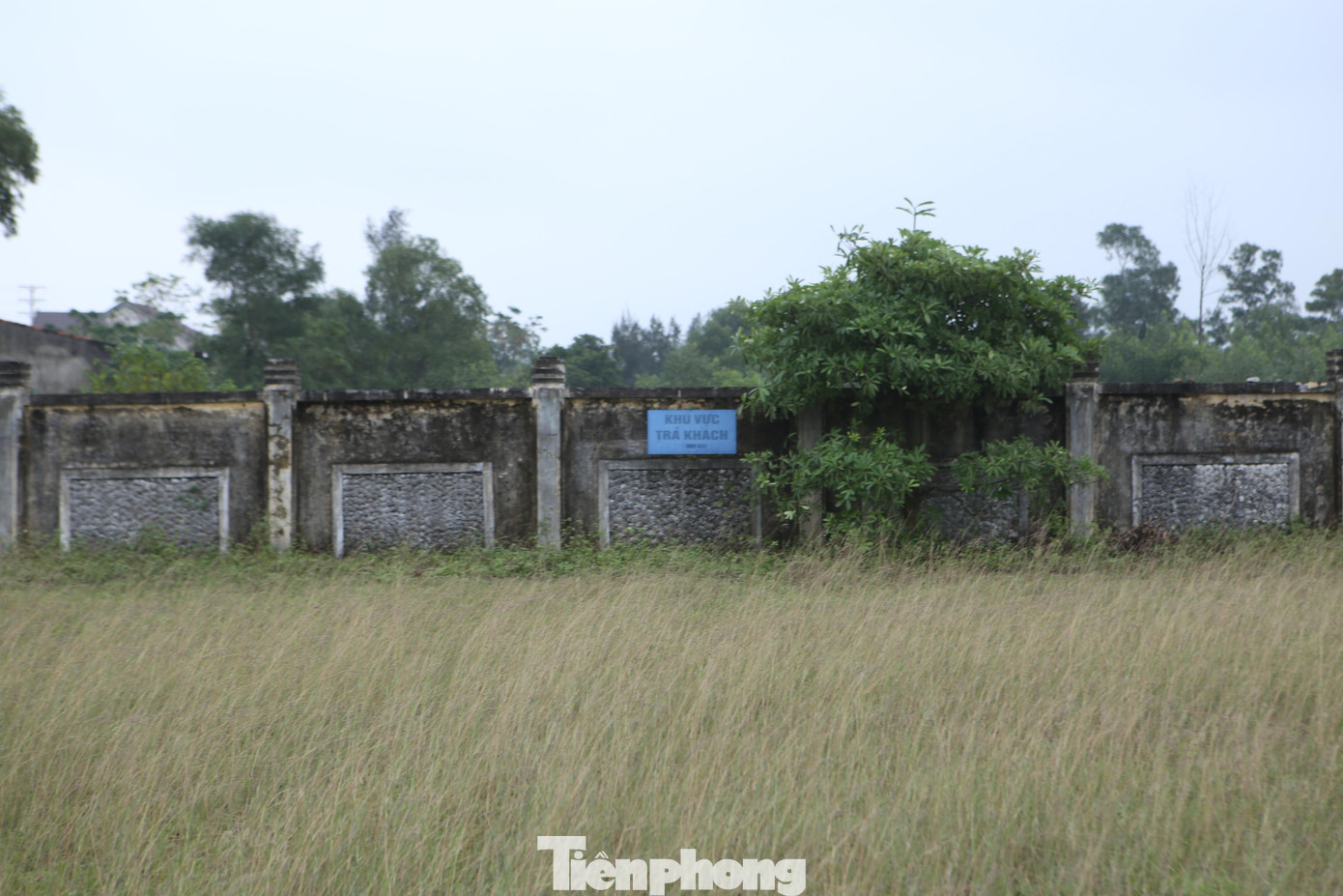 Còn khu vực bãi dừng mọc đầy cỏ dại, trở thành nơi chăn thả trâu, bò của các hộ dân trên địa bàn.