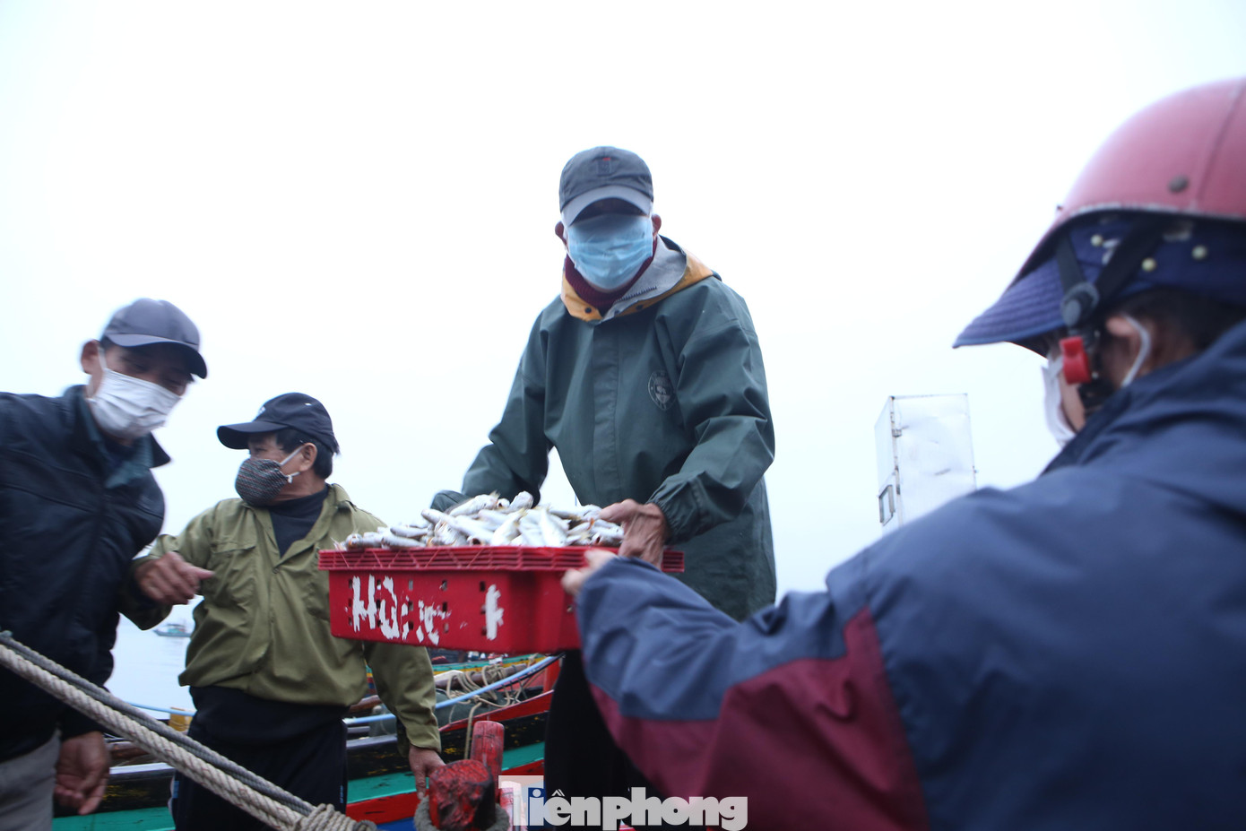 Cá đù sau khi đánh bắt xong bán cho các thương lái ngay tại cảng với giá 50-70 ngàn đồng/kg. Các thuyền viên trên tàu cùng hỗ trợ đưa cá xuống để bán cho các thương lái.