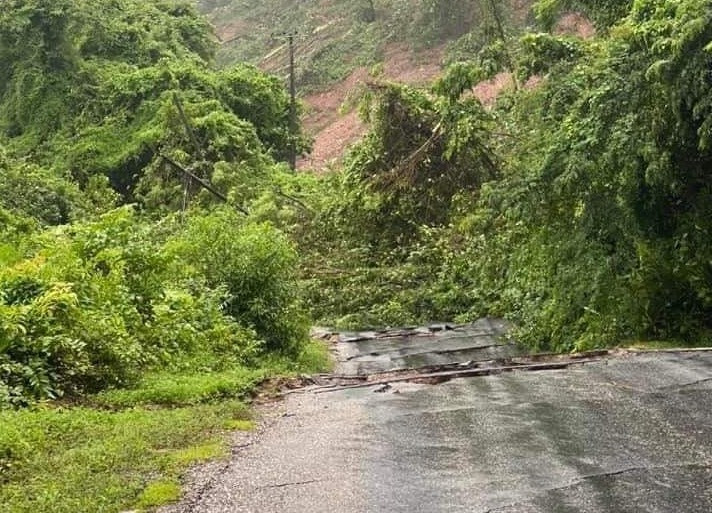 Nhiều đoạn đường bị sạt lở nghiêm trọng. Nhiều đoạn đường bị sạt lở nghiêm trọng.