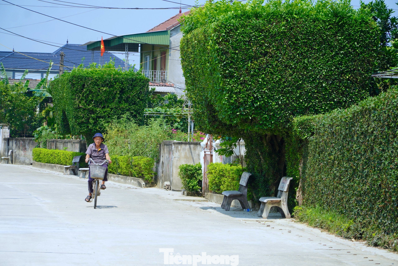 Những chiếc cổng cao trên 4m và hàng rào xanh dài hàng chục mét tạo nên vẻ đẹp đặc biệt cho vùng quê này. Ngay dưới những cổng nhà, người dân đặt ghế đá để nghỉ ngơi trong những ngày nắng nóng.