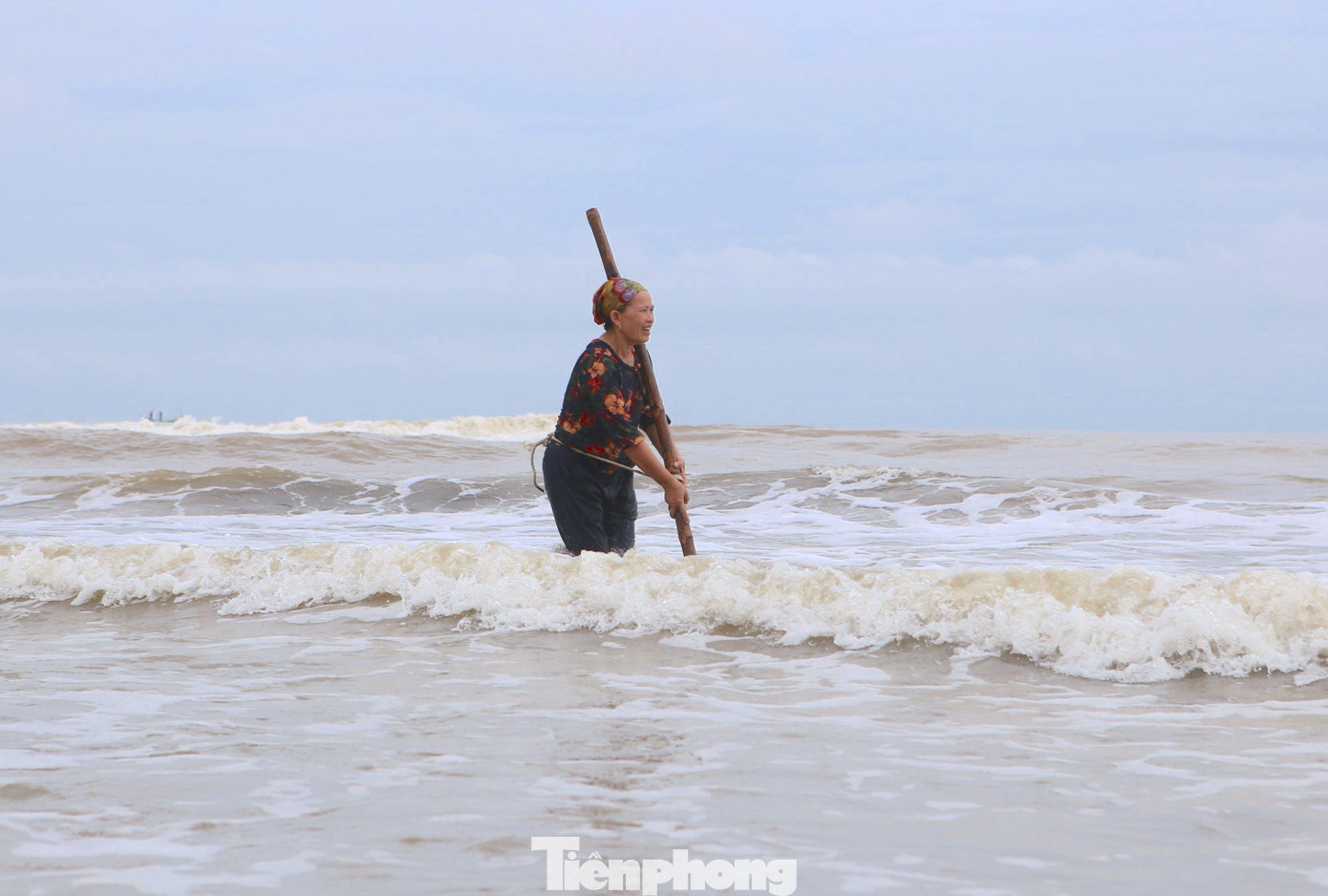 Những người ra bắt sò không chỉ có thanh niên mà còn cả người già và cả trẻ em với đủ dụng cụ gồm cào tre, giỏ nhựa, rổ, túi lưới, bao tải…