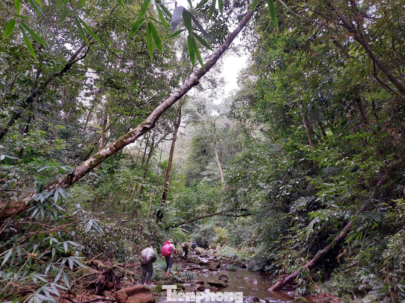 Địa hình hiểm trở, nhiều khe suối nên quá trình thực hiện nhiệm vụ gặp nhiều khó khăn. Địa hình hiểm trở, nhiều khe suối nên quá trình thực hiện nhiệm vụ gặp nhiều khó khăn.