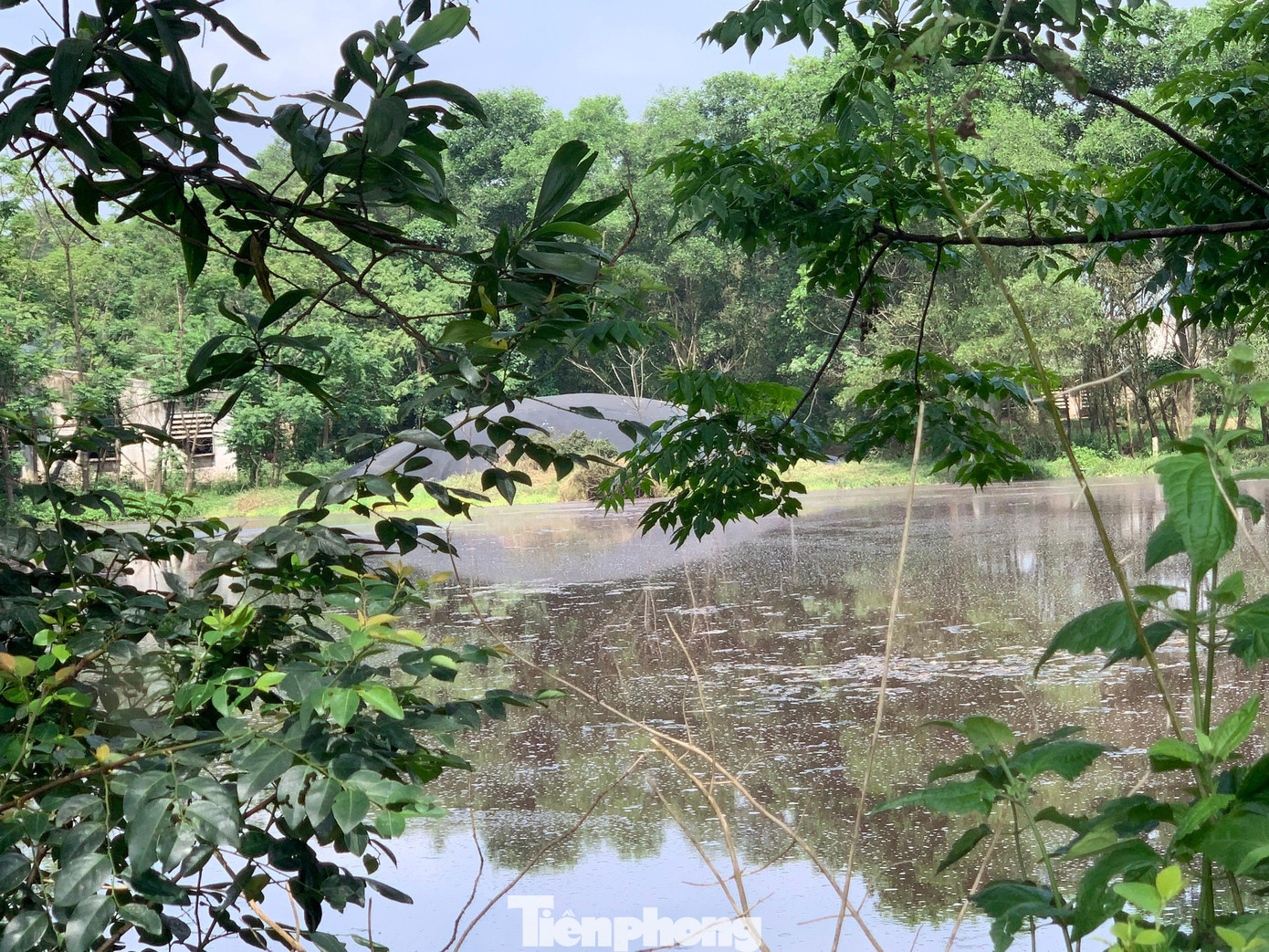 Nước từ bể lắng cuối cùng trước khi xả ra môi trường vẫn đen ngòm...