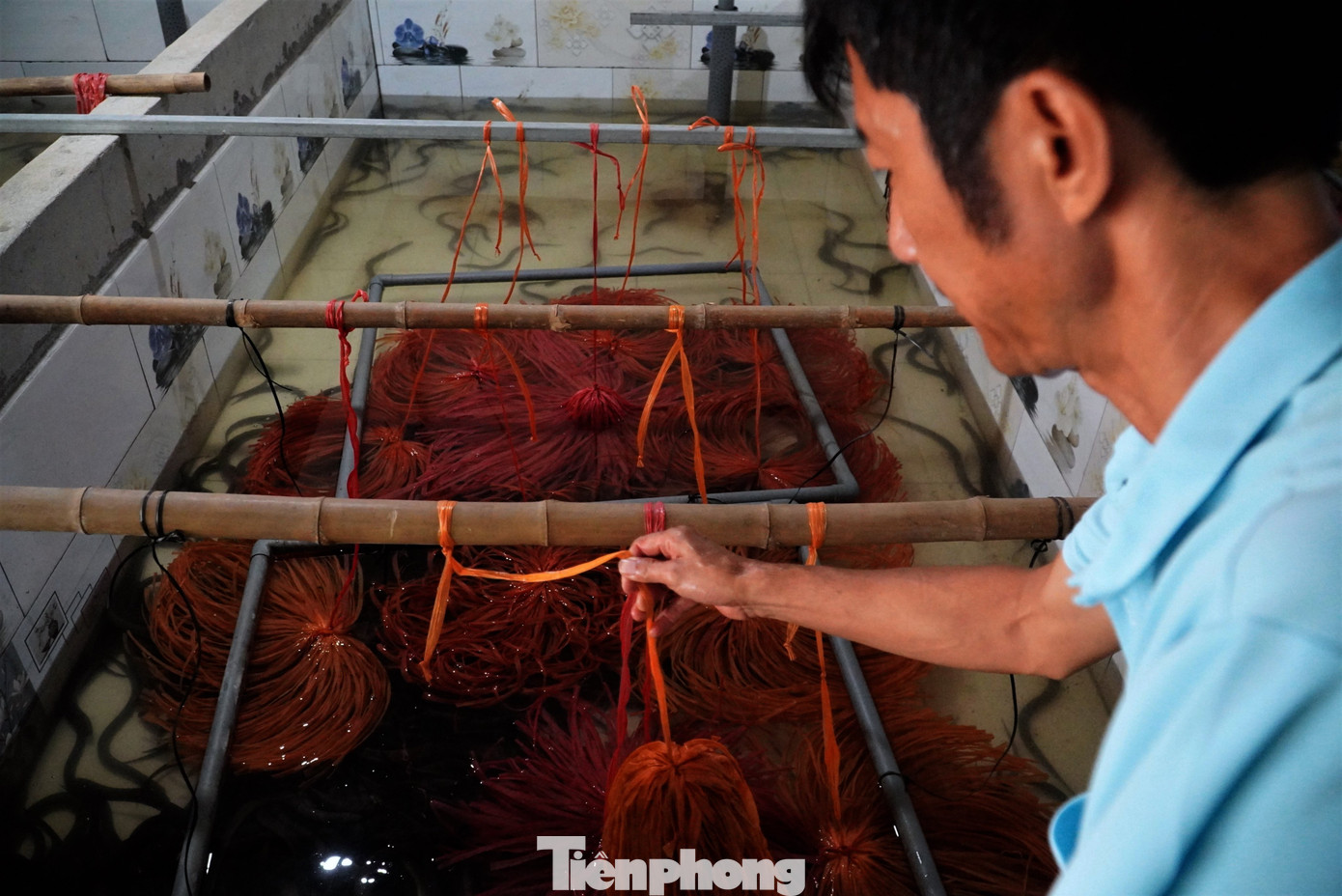 Tại mỗi bể thả nuôi 2.500 con. Hiện 10 bể ông Hà thả nuôi 25.000 con. Sau 1 năm chăm sóc, mô hình nuôi lươn không bùn của ông Hà đạt khoảng 5 tấn.