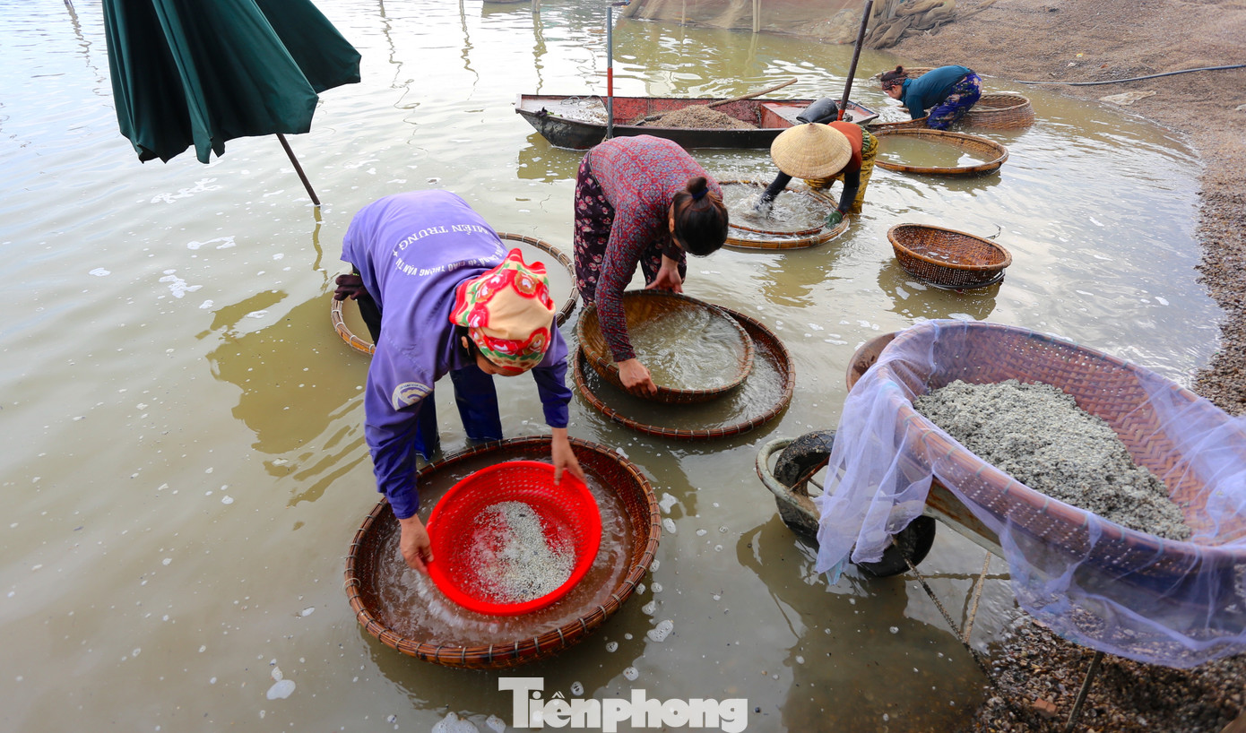 Nghề đãi hến ở đây chủ yếu làm mùa nắng. Vào mùa mưa lũ họ nghỉ ngơi, hoặc chọn nghề khác để làm. Nghề đãi hến ở đây chủ yếu làm mùa nắng. Vào mùa mưa lũ họ nghỉ ngơi, hoặc chọn nghề khác để làm.