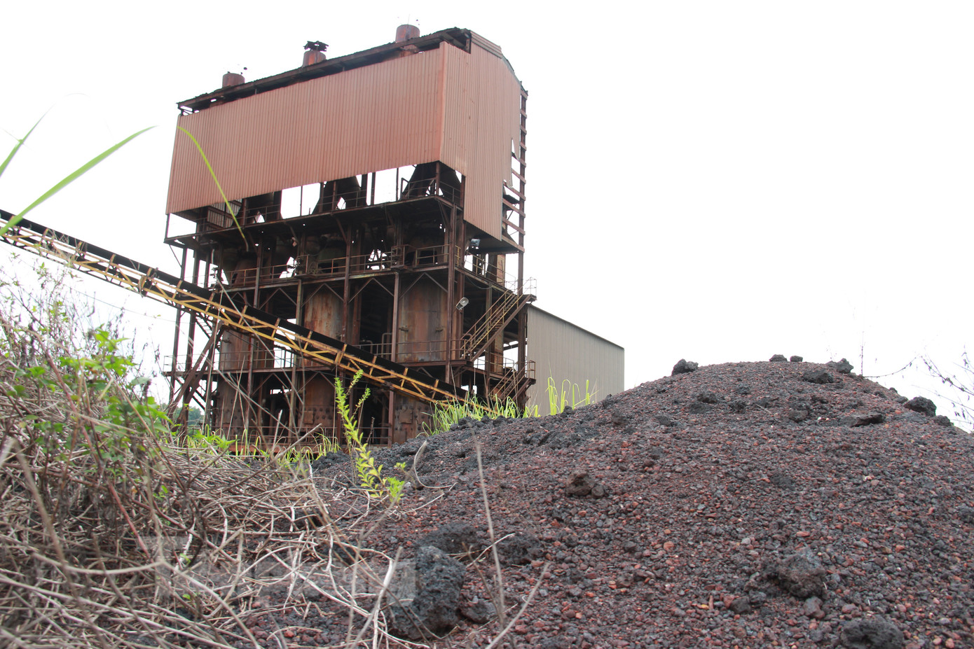 Cỏ dại mọc um tùm bên trong khuôn viên. Trong ảnh là khu vực hệ thống điện của nhà máy.