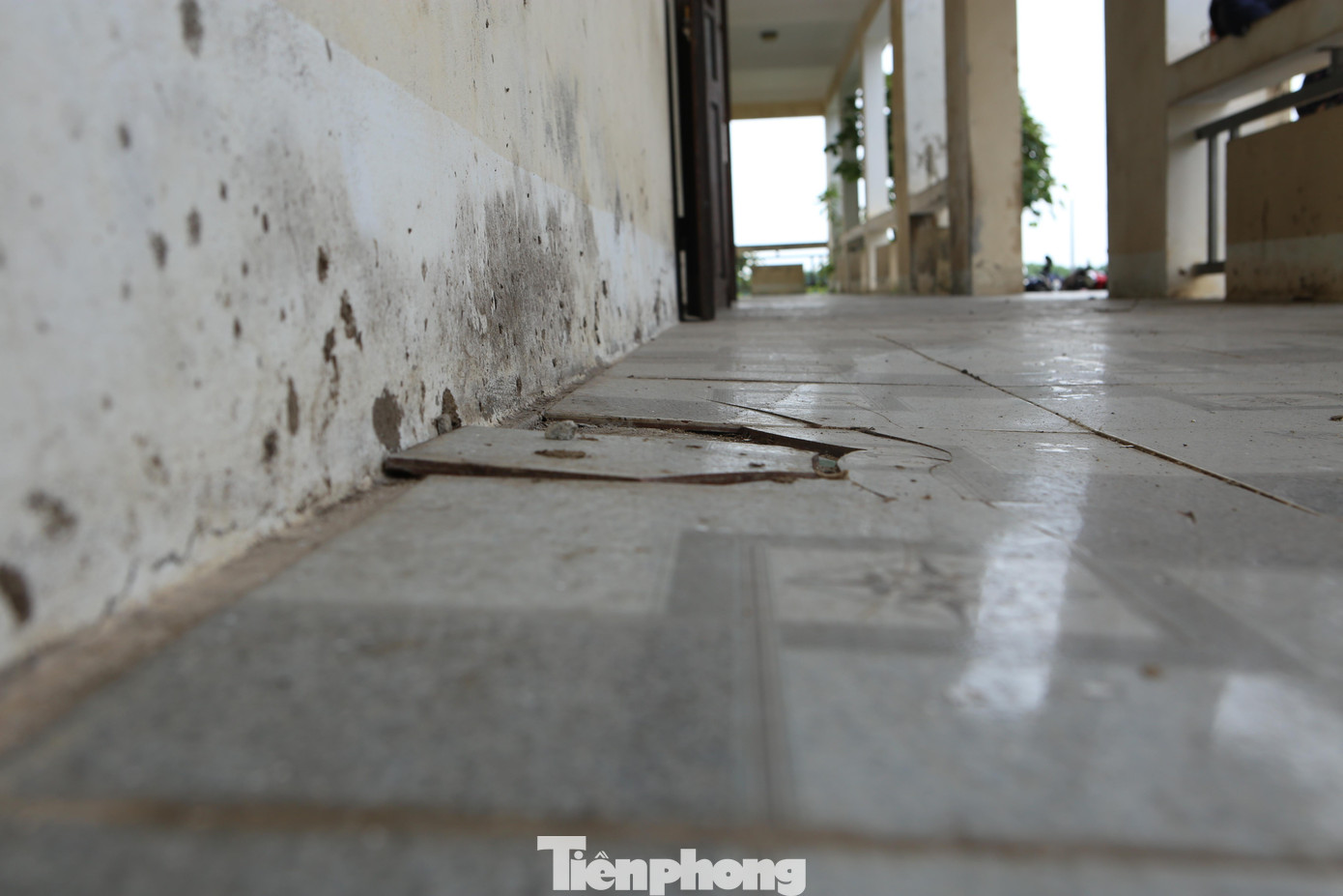 Dù chưa từng đón học sinh, nhưng do thời gian dài không sử dụng, các hạng mục bên trong như nền nhà, sơn tường, cửa… đã bị hư hỏng.