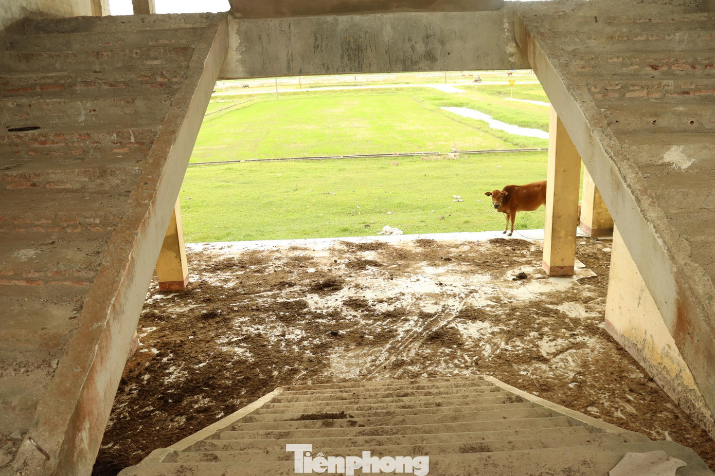 Dãy nhà bỏ hoang, mục nát theo thời gian.