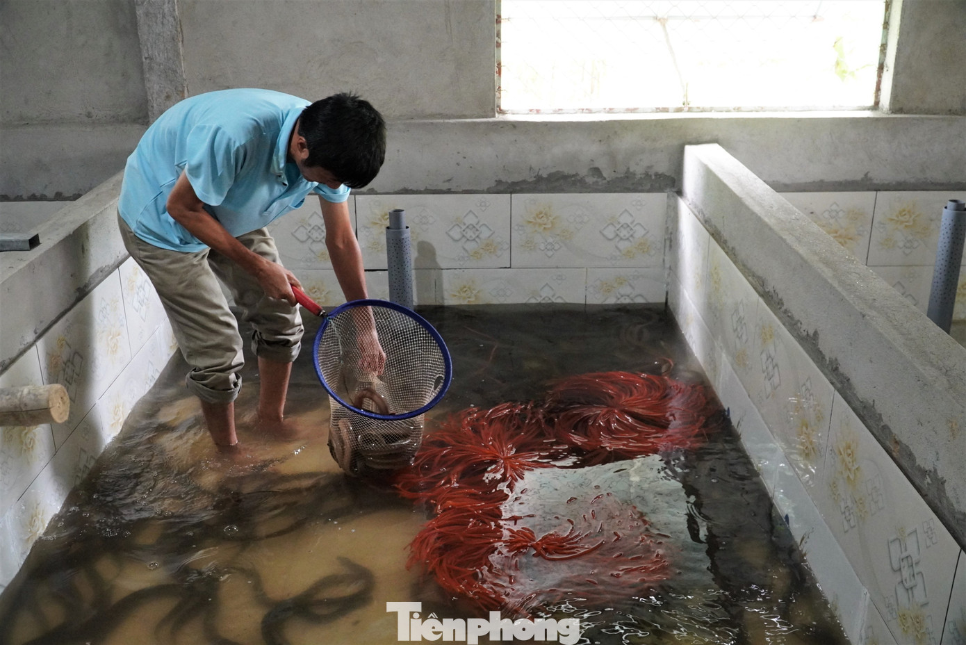 Với mong muốn phát triển mô hình kinh tế để kiếm thêm thu nhập, ông Hà đã tìm tòi, tham vấn ý kiến bạn bè, người thân. Cũng từ những kiến thức tích luỹ trong quá trình đi làm tại các tỉnh phía Nam, ông Hà đã quyết định khởi nghiệp bằng mô hình nuôi lươn không bùn.