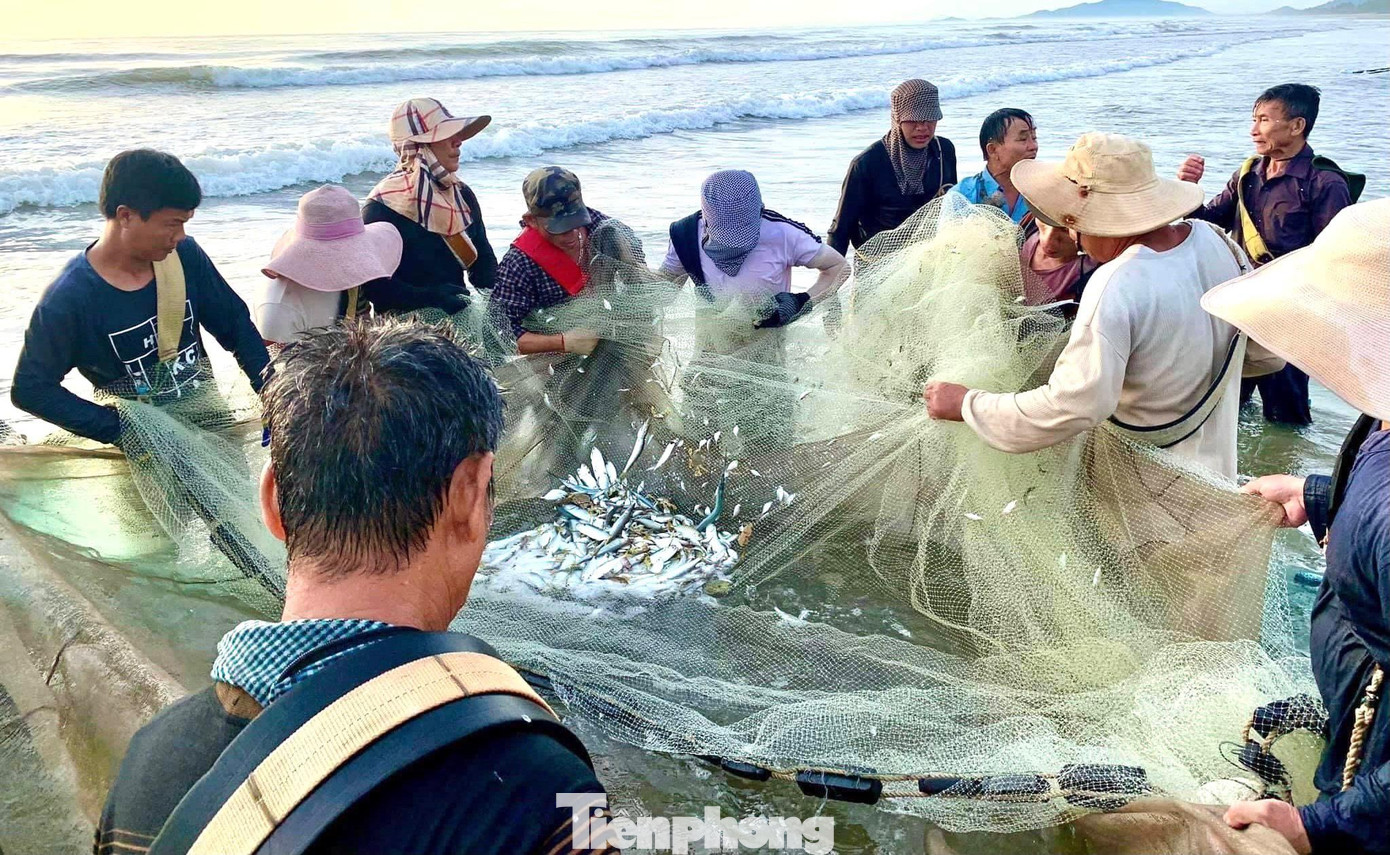 Ngư dân phấn khởi khi thu hoạch được khá nhiều cá. Đây được xem là mẻ lưới thành công trong buổi sáng, được phân loại, bán ngay tại bờ.