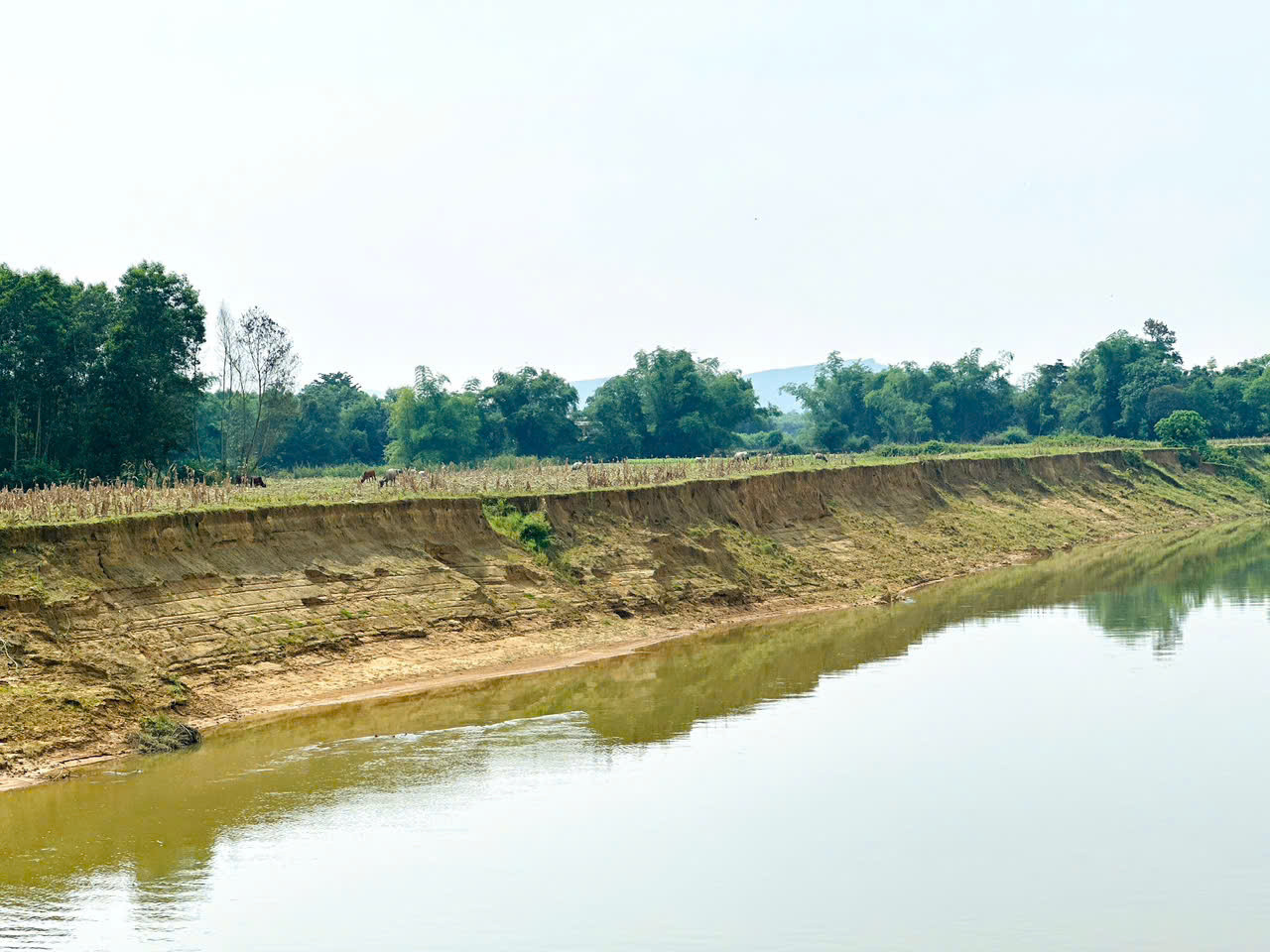 Hàng trăm mét đất nông nghiệp của người dân xã Hà Linh bị sạt lở.