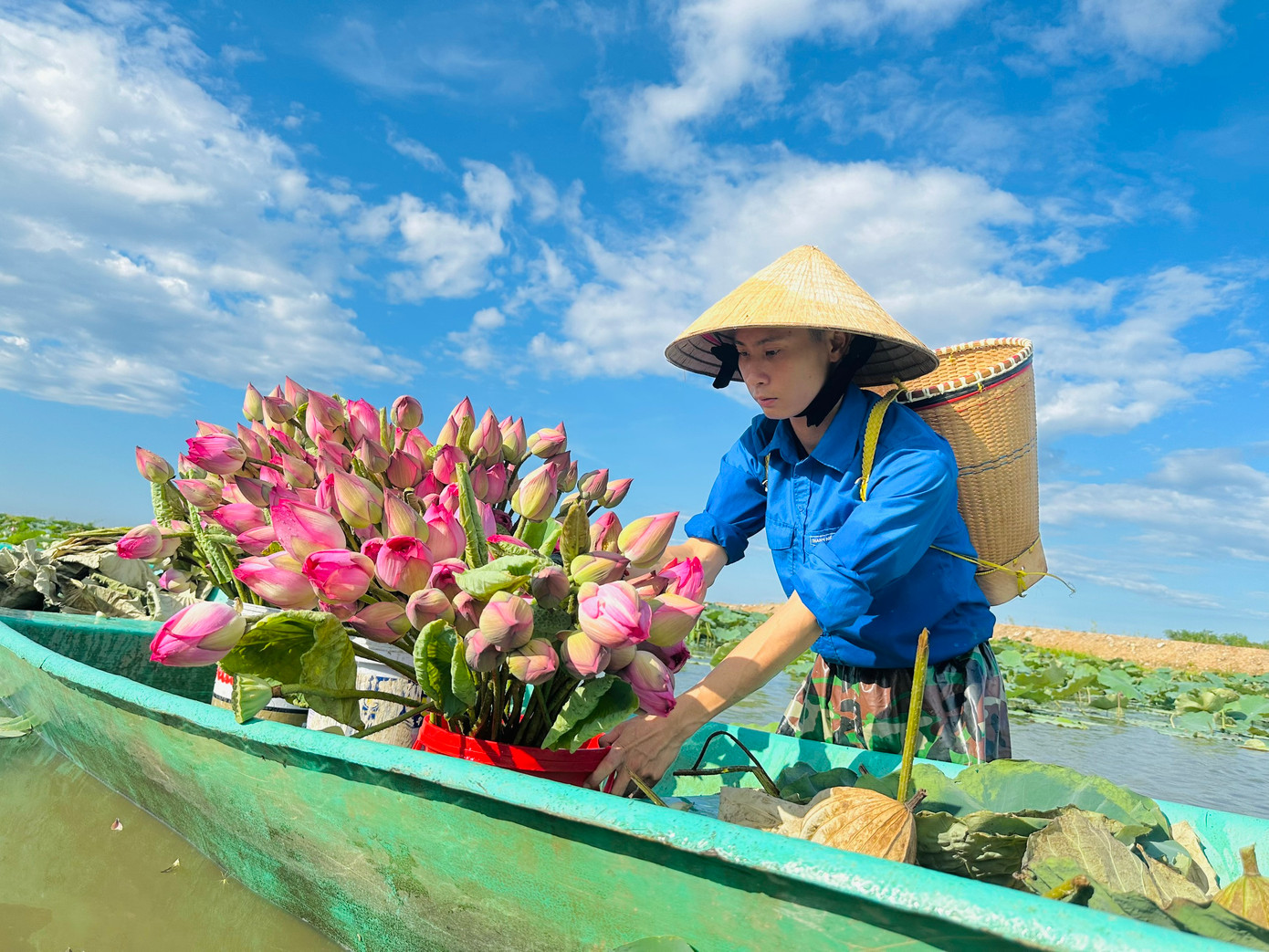 Với mong muốn những người đi đường chiêm ngưỡng vẻ đẹp mùa sen nở, lực lượng đoàn viên thanh niên xã Thạch Hưng đã lội đầm thu hoạch 1.000 bông hoa sen Bách Diệp để tặng người dân đi đường.