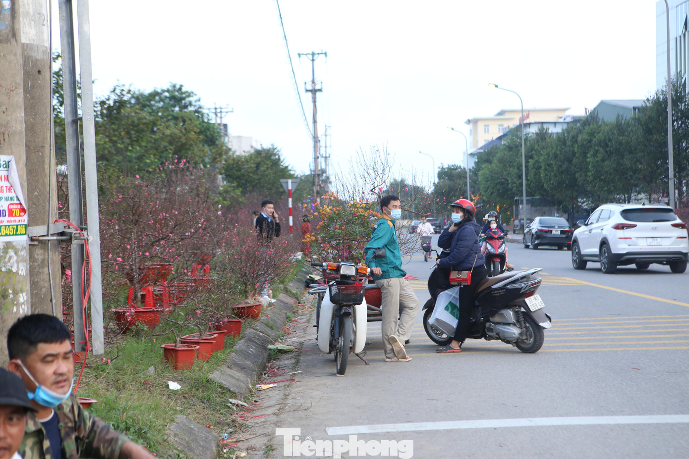 Theo ghi nhận của Tiền Phong vào chiều 29/1 (Tức ngày 27/12 Âm Lịch), số lượng đào, mai và các loại hoa, cây cảnh còn rất nhiều, khách mua ít. Nhiều người buộc phải hạ giá, bán đồng giá để thu hút khách.