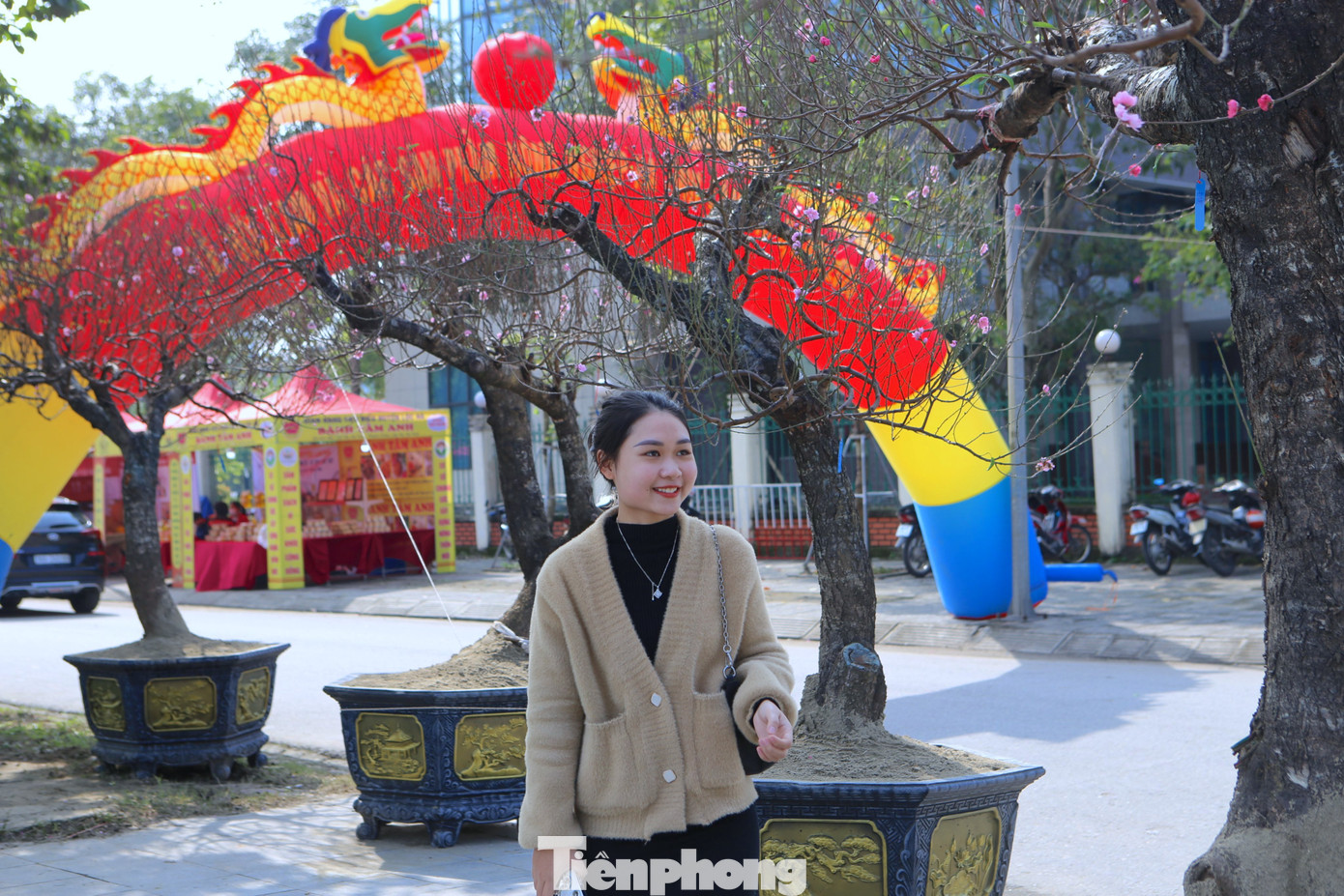 Những gốc đào cổ thụ cũng thu hút giới trẻ đến xem và chụp ảnh.