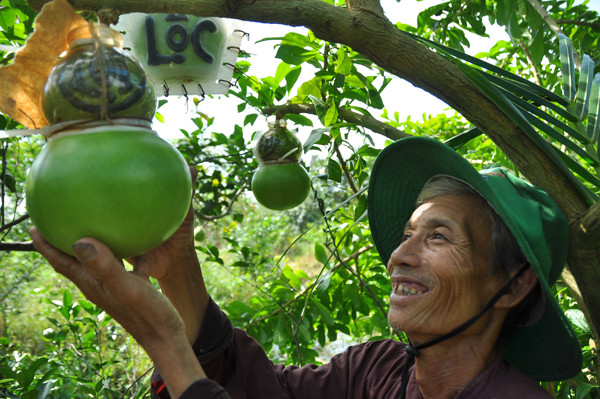 Vườn đào tiên trăm triệu của lão nông miền Tây ảnh 12