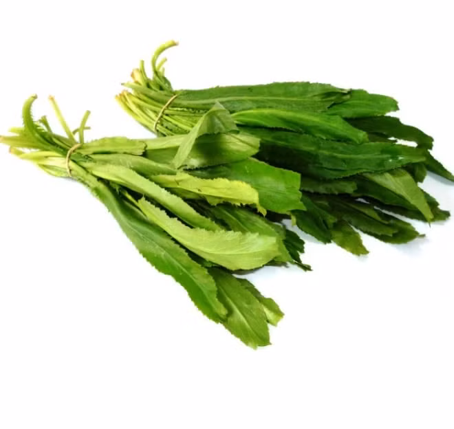 9 loại cây trồng trong nhà làm gia vị và thuốc chữa bệnh ảnh 2