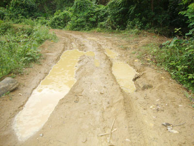 Con đường bị hằn sâu do lâm tặc dùng ô tô chở gỗ lậu 