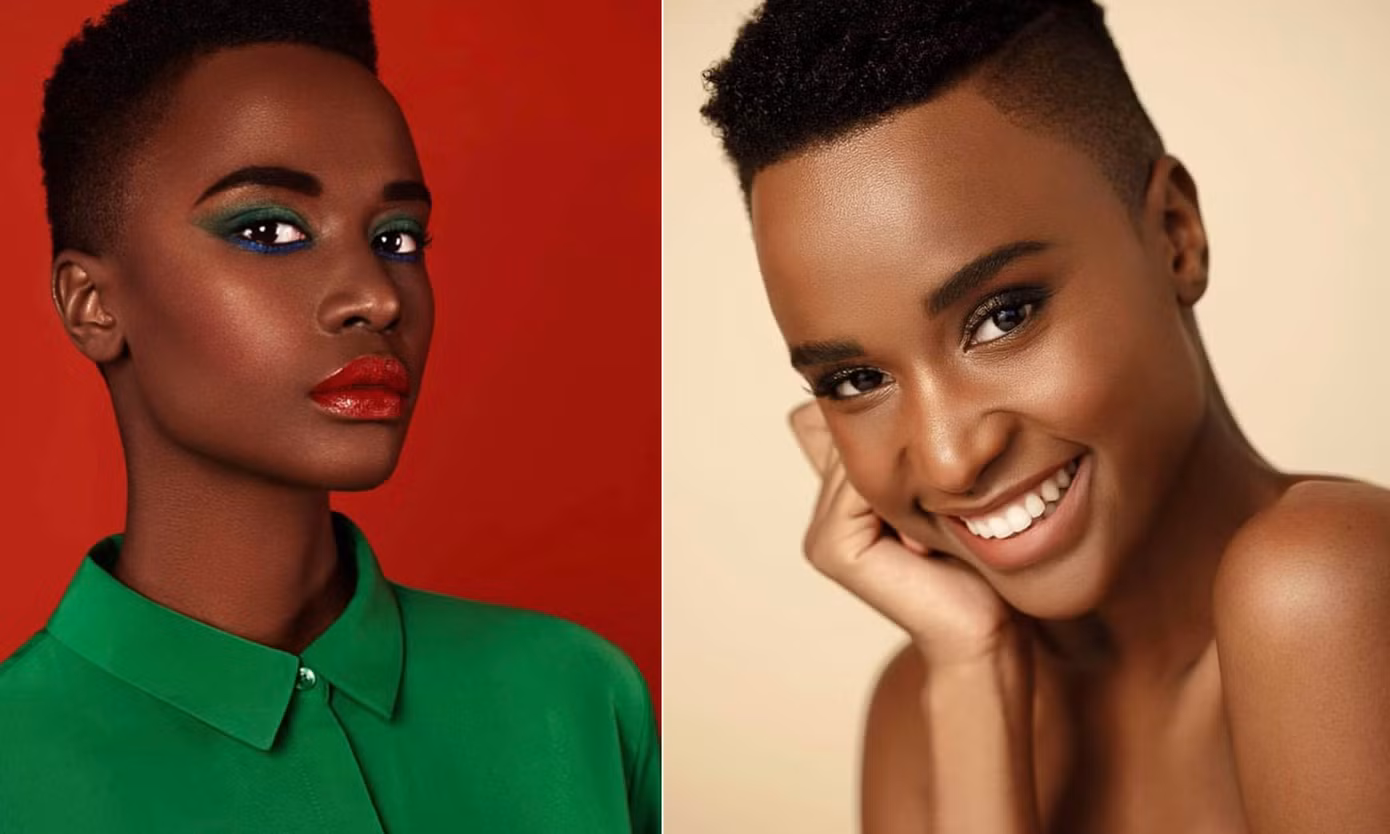 Những đối thủ khu vực Đông Nam Á của Hoàng Thùy tại Miss Universe 2019 ảnh 12