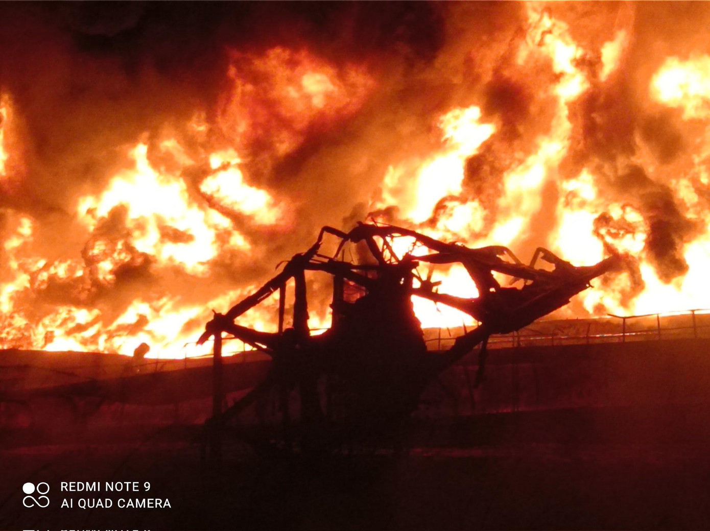 Ảnh: Twitter Ảnh: Twitter