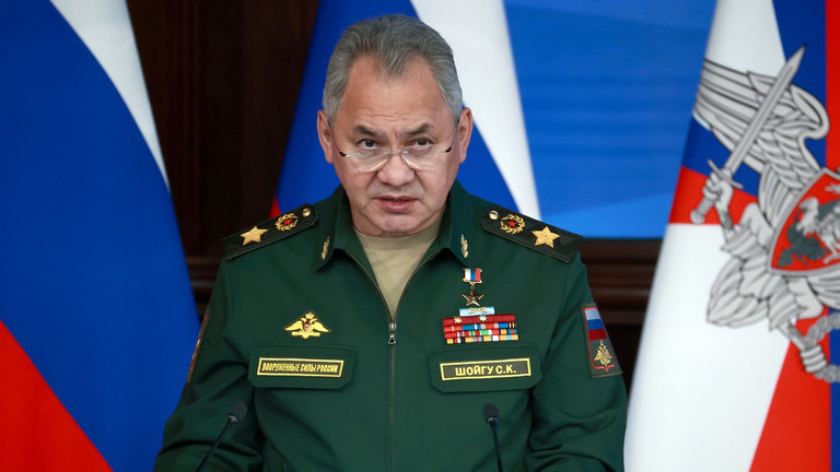 Bộ trưởng Quốc phòng Nga Sergey Shoigu. Ảnh: Sputnik