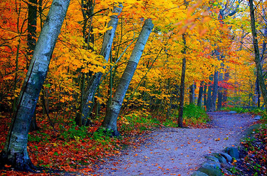  Những chiếc lá thu rơi lơ thơ trên lối đi vào công viên Grant, phía Nam Milwaukee, Wisconsin