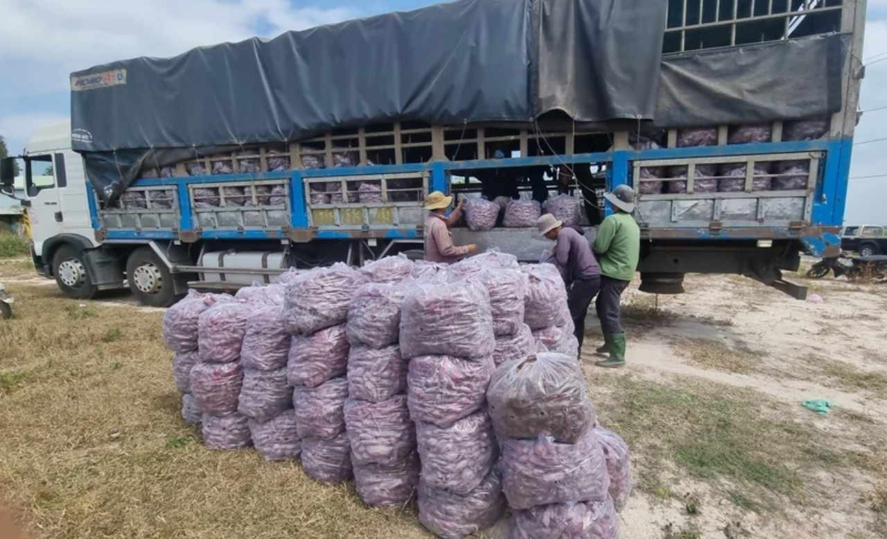 Thư mời gửi tới các cơ quan, doanh nghiệp, nhà trường trên địa bàn TP Hà Nội để bán khoai lang Nhật Bản.