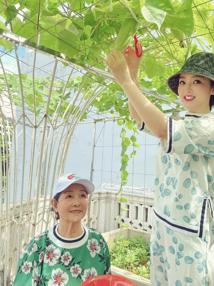 Hoa hậu Đền Hùng Giáng My cùng mẹ hái mướp trong vườn để nấu ăn những ngày giãn cách.