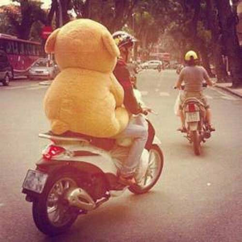Thời gian gần đây khi ra đường, mọi người sẽ thấy không ít cảnh tượng các chàng trai FA (người cô đơn) chở gấu bông... đi chơi. Để công cuộc đèo gấu được an toàn, không bị rơi xuống đường, nhiều anh chàng kẹp thật chặt tay, chân gấu bông. Nhìn mức độ tình cảm này, không ít người cảm thấy buồn cười, hài hước 