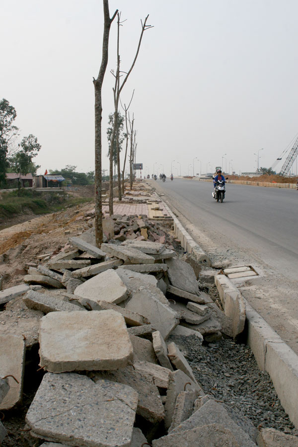 Câu cá bên... đại lộ Thăng Long ảnh 2