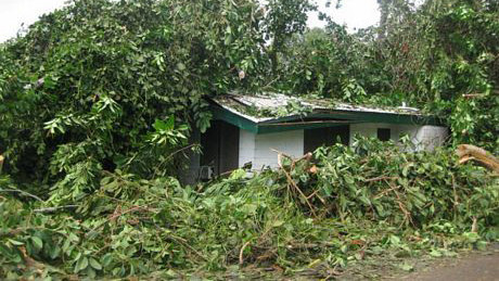 Bản tin 14H: Tài xế ô tô nguy kịch vì chống đối CSGT rồi nhảy lầu ảnh 1