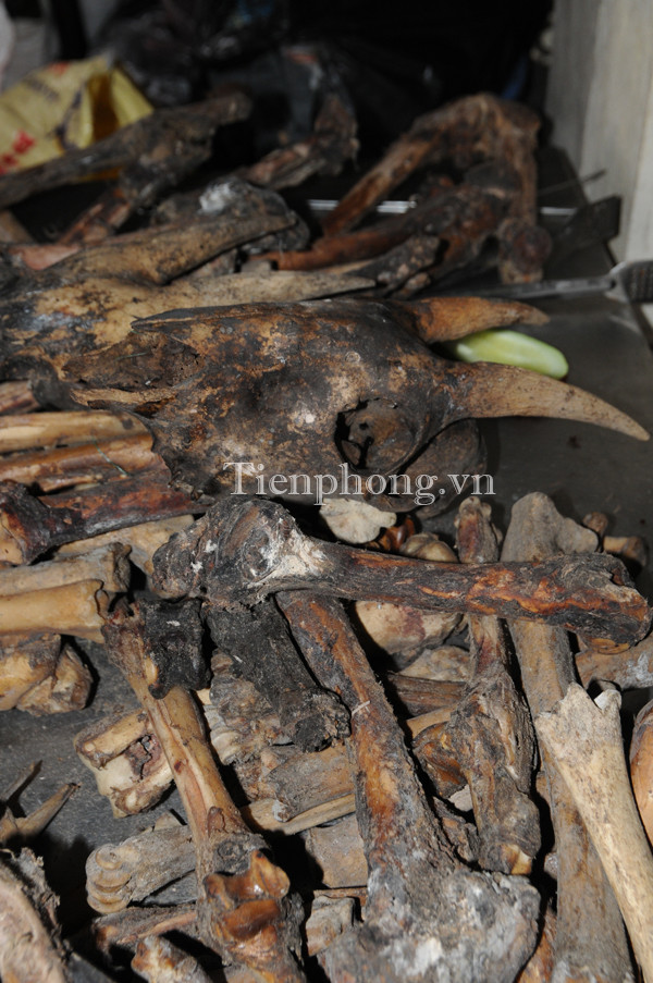 15kg xương Sơn Dương bị thu giữ