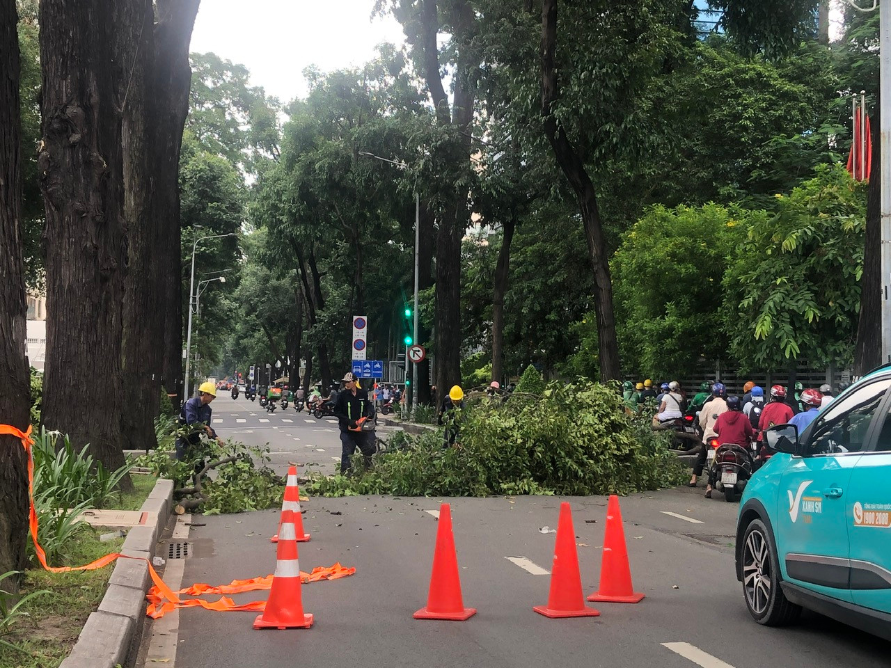 Đơn vị thi công cắt tỉa cây xanh trên đường Pasteur gây ùn tắc giao thông vì toàn bộ lòng đường bị chặn xe phân luồng