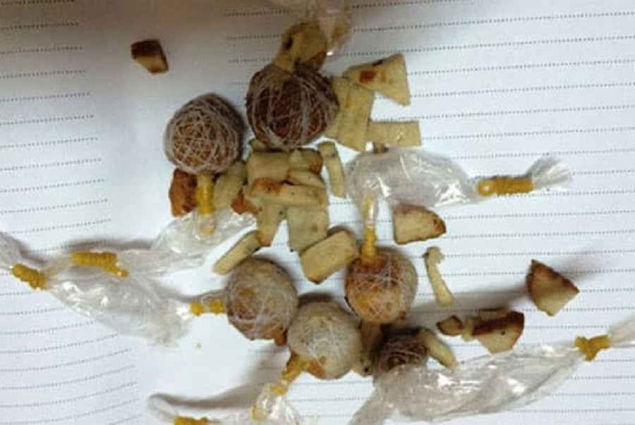 Hình dạng loại bả chó được cẩu tặc sử dụng để thực hiện hành vi phạm pháp (ảnh minh họa) Hình dạng loại bả chó được cẩu tặc sử dụng để thực hiện hành vi phạm pháp (ảnh minh họa)