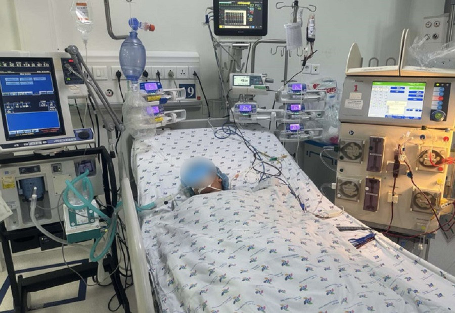 Bệnh nhi rơi vào nguy kịch sau khi bị bầy ong tấn công, đốt 52 mũi Bệnh nhi rơi vào nguy kịch sau khi bị bầy ong tấn công, đốt 52 mũi