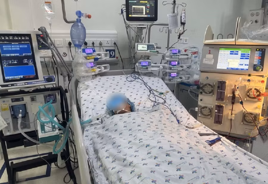 Bệnh nhi rơi vào nguy kịch sau khi bị bầy ong tấn công, đốt 52 mũi