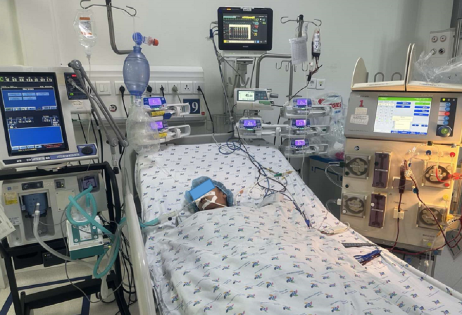 Trường hợp bệnh nhi bị ong đốt 52 mũi phải thở máy, lọc máu mới qua được nguy kịch