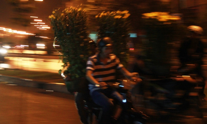 những phiên chợ hoa cuối. Nhiều người dân tranh thủ đi săn hoa Cúc đại hại giá, giảm đến 70%, hiện chỉ còn 50-60.000 đồng/ chậu.