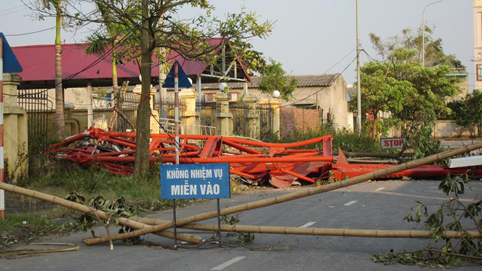 Dùng thân tre để làm rào chắn