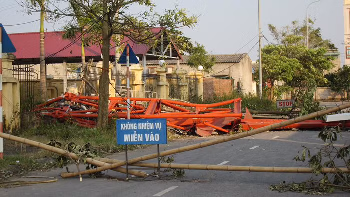 Dùng thân tre để làm rào chắn