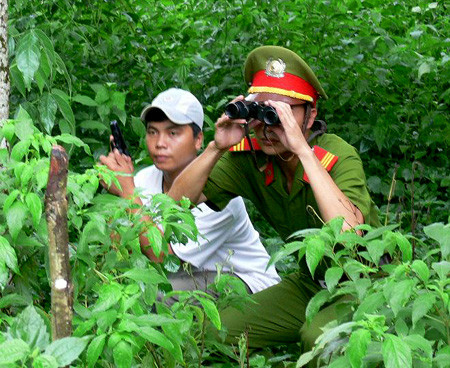 Những cuộc săn lùng tội phạm trong rừng rất vất vả và nguy hiểm. Ảnh: Mạnh Hà