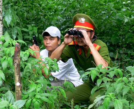 Những cuộc săn lùng tội phạm trong rừng rất vất vả và nguy hiểm. Ảnh: Mạnh Hà