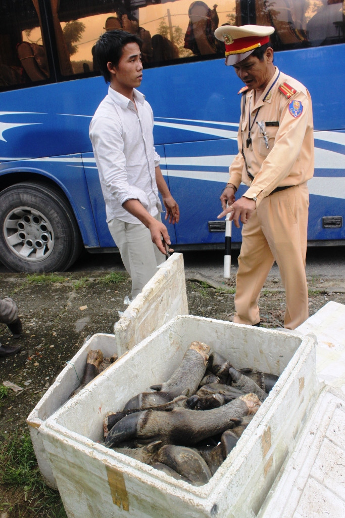 Lô hàng thịt chân trâu thối bị kiểm tra, phát hiện