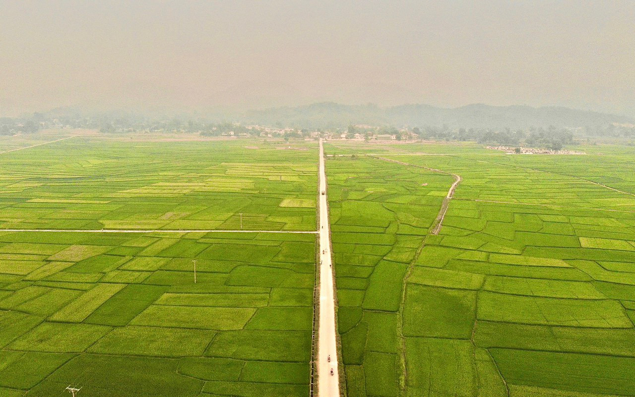 Cánh đồng Mường Thanh tại huyện Điện Biên