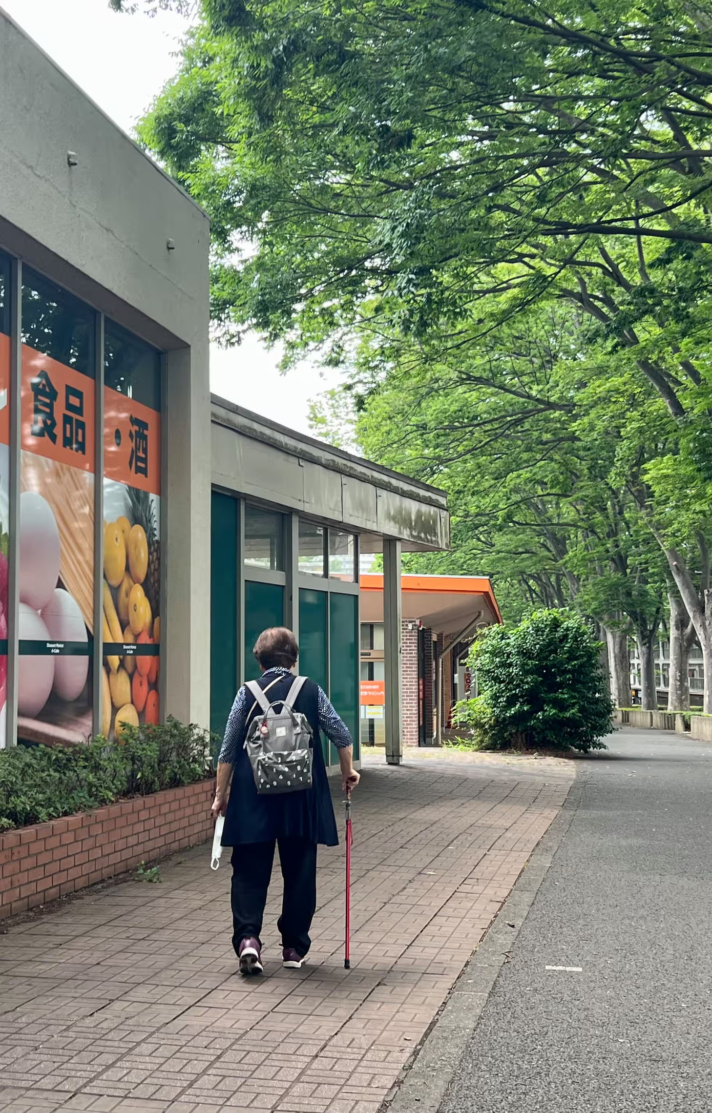 Một người dân đi dọc con đường ở khu Tokiwadaira Một người dân đi dọc con đường ở khu Tokiwadaira