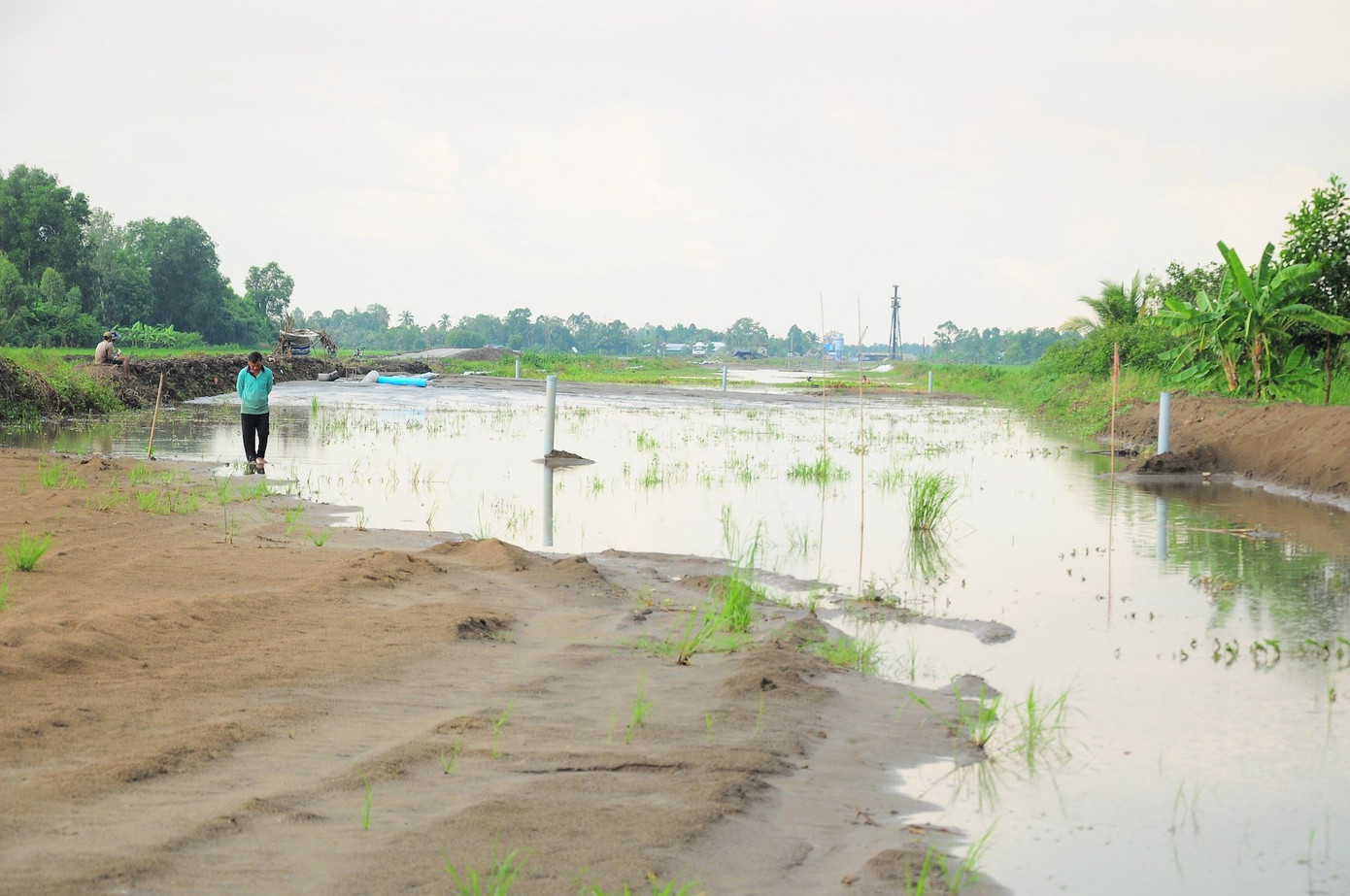 Công trường Cao tốc Cần Thơ - Cà Mau đoạn qua tỉnh Hậu Giang chờ cát để san nền vào tháng 5/2024. Ảnh: Cảnh Kỳ
