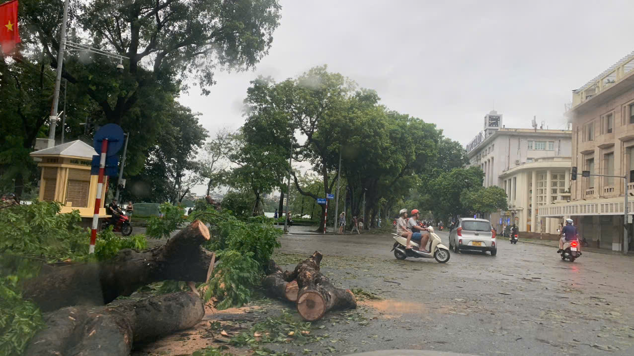 Cây đổ ngổn ngang trên phố Hàng Bài. Ảnh: Nguyễn Tuấn