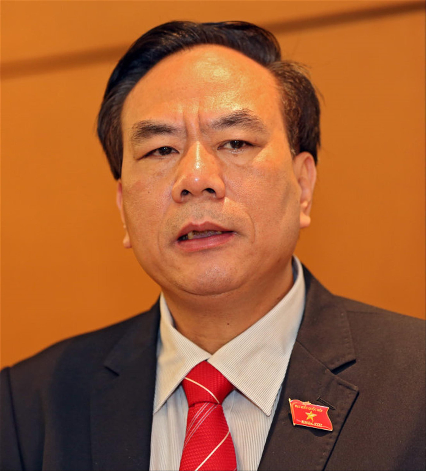 TS Bùi Đức Thụ