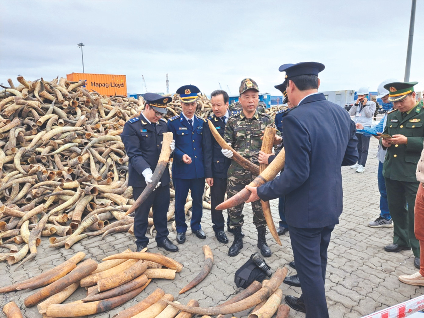 Hải quan Hải Phòng triệt phá đường dây buôn lậu ngà voi lớn nhất lịch sử vào tháng 3/2023 Hải quan Hải Phòng triệt phá đường dây buôn lậu ngà voi lớn nhất lịch sử vào tháng 3/2023