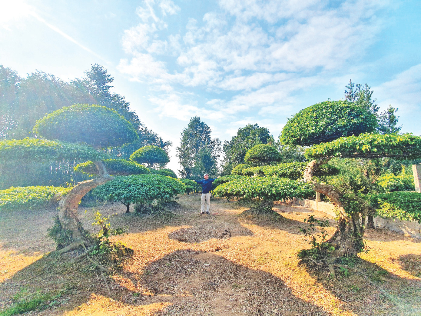 Ông Đỗ Duy Quân (SN 1961), Phó Chủ tịch Hội Sinh vật cảnh xã Điền Xá giới thiệu những cặp sanh dáng long Ông Đỗ Duy Quân (SN 1961), Phó Chủ tịch Hội Sinh vật cảnh xã Điền Xá giới thiệu những cặp sanh dáng long