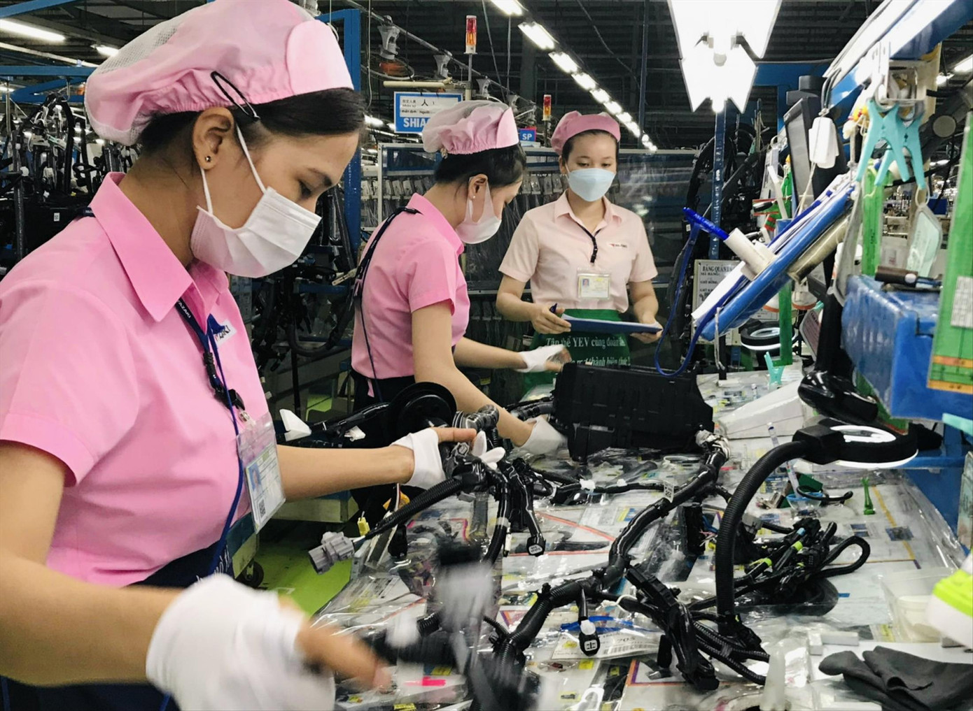 Công nhân sản xuất tại Cty TNHH Yazaki EDS Việt Nam - Bình Dương. Ảnh: H.C